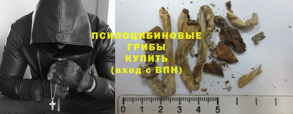 спайс Алзамай