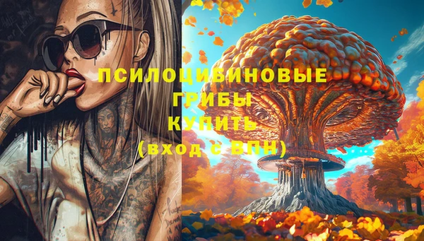 дмт Алексеевка