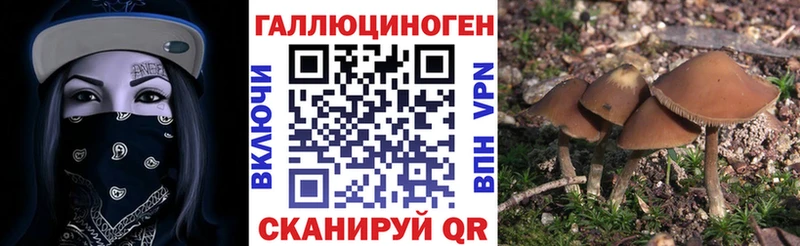 Галлюциногенные грибы Psilocybe Саянск