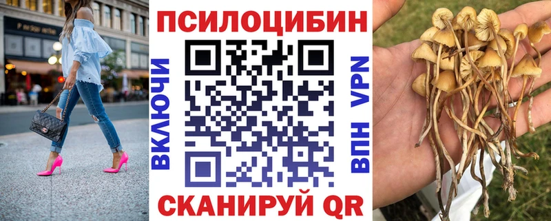 Псилоцибиновые грибы Psilocybe Саянск
